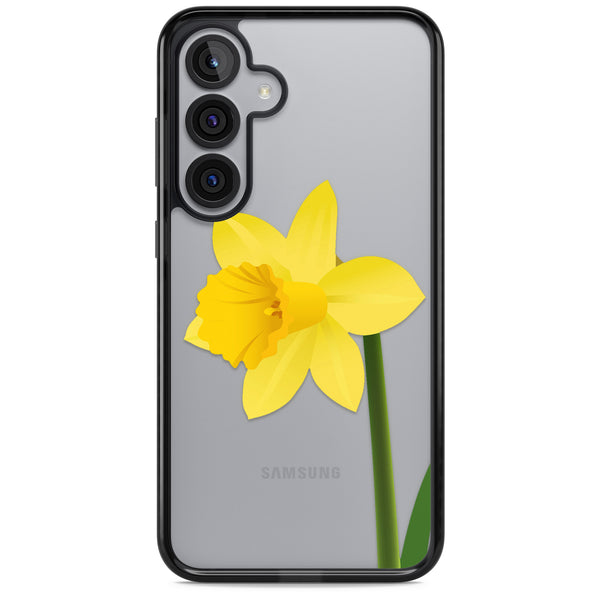 Daffodil
