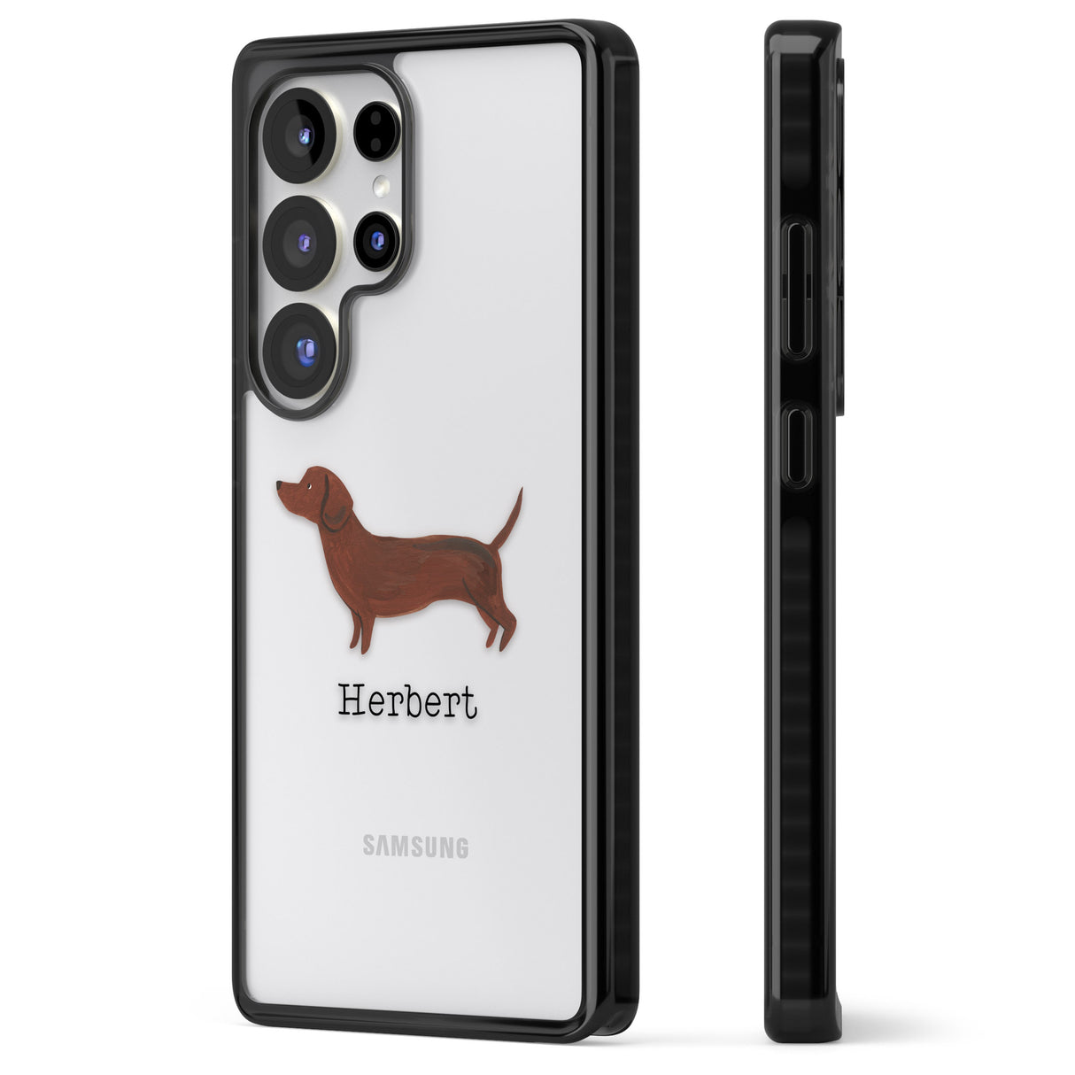 Personalised Hand Painted Sausage Dog