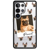 Personalised French Bulldog, Tan - Dog Photo