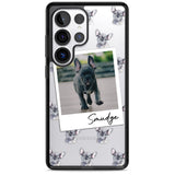 Personalised French Bulldog, Grey - Dog Photo