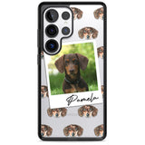 Personalised Dachshund, Brown - Dog Photo