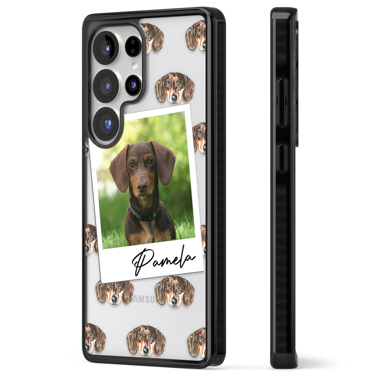 Personalised Dachshund, Brown - Dog Photo