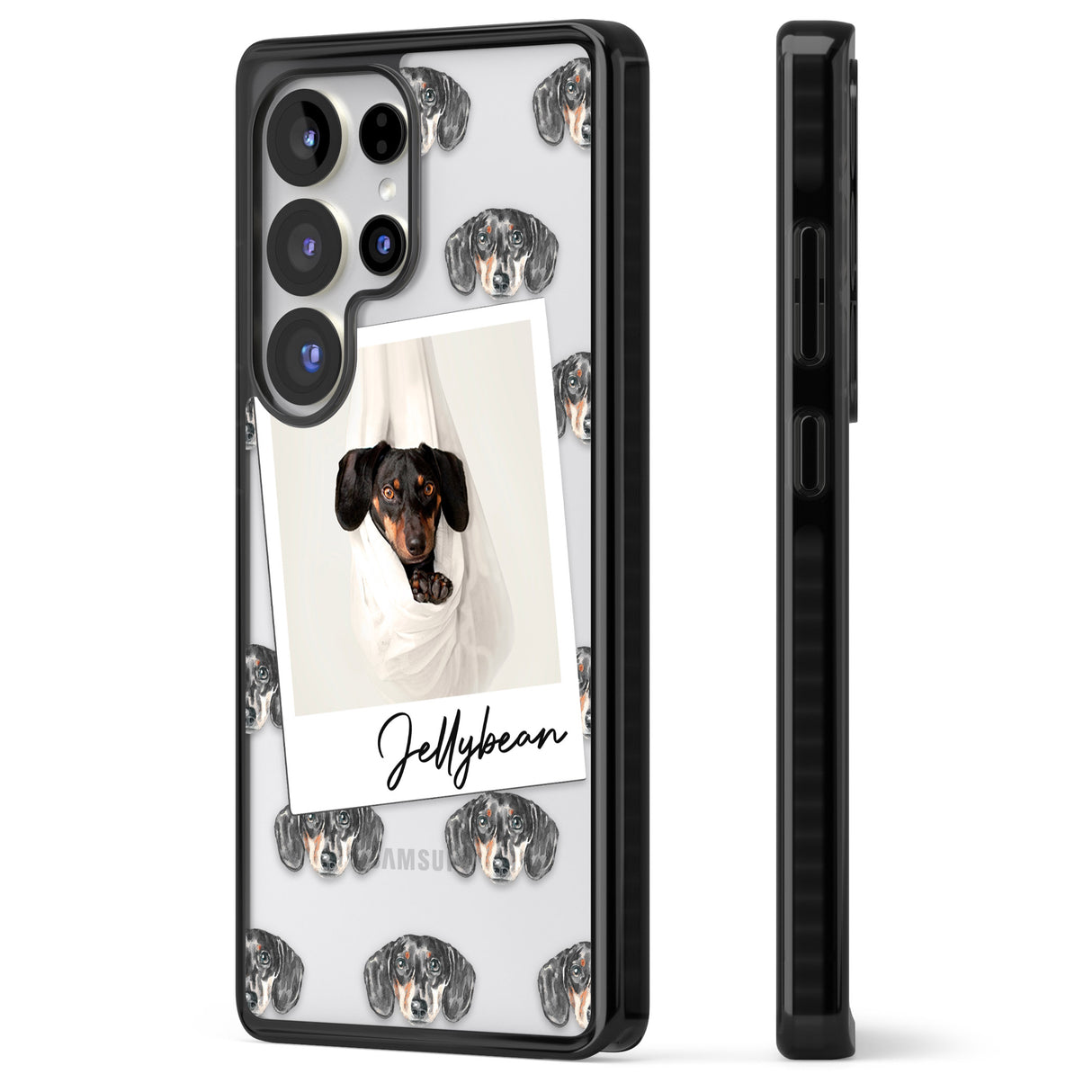 Personalised Dachshund, Black- Dog Photo