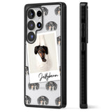 Personalised Dachshund, Black- Dog Photo