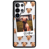 Personalised Border Terrier - Dog Photo