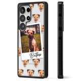 Personalised Border Terrier - Dog Photo