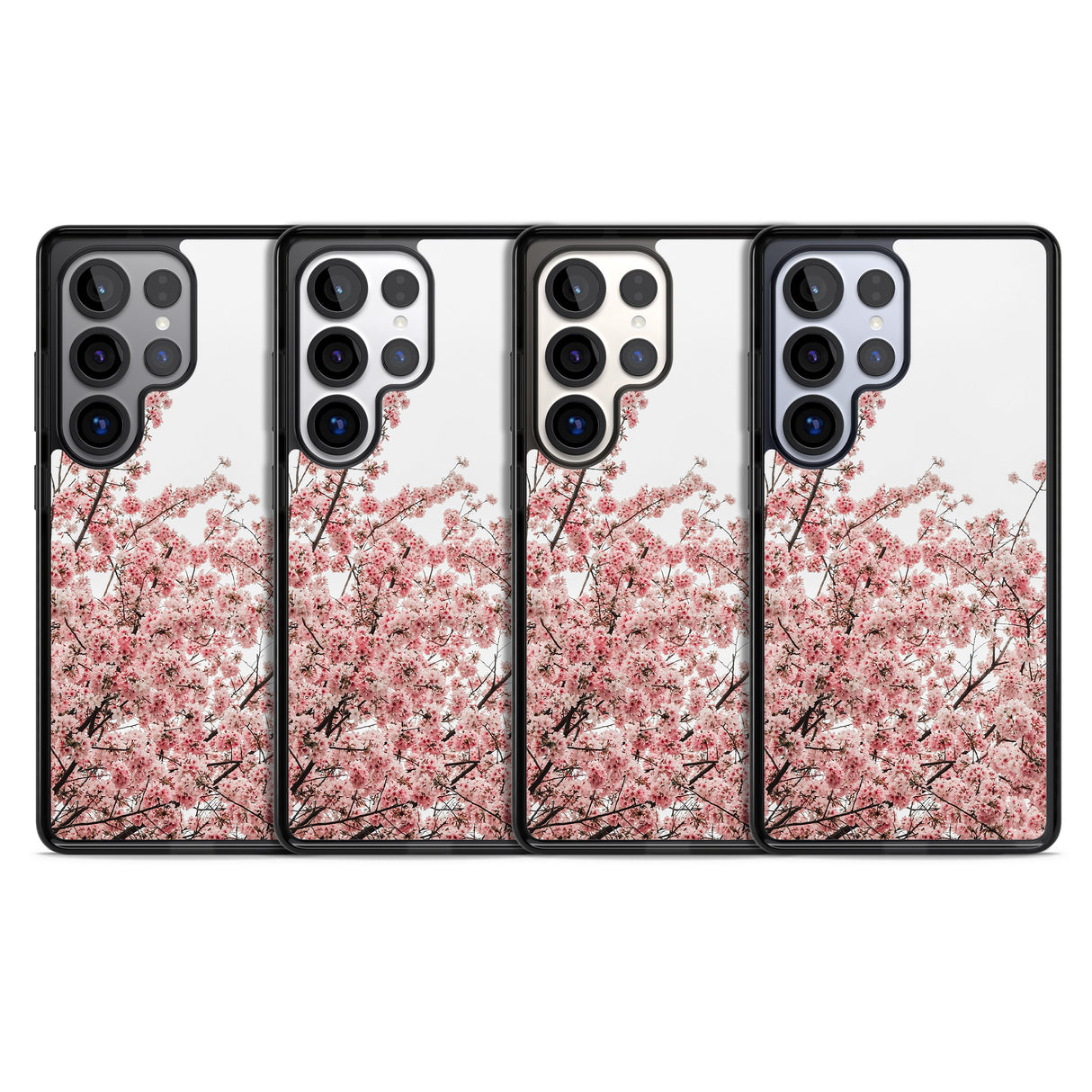 Cherry Blossoms - Real Floral Photographs