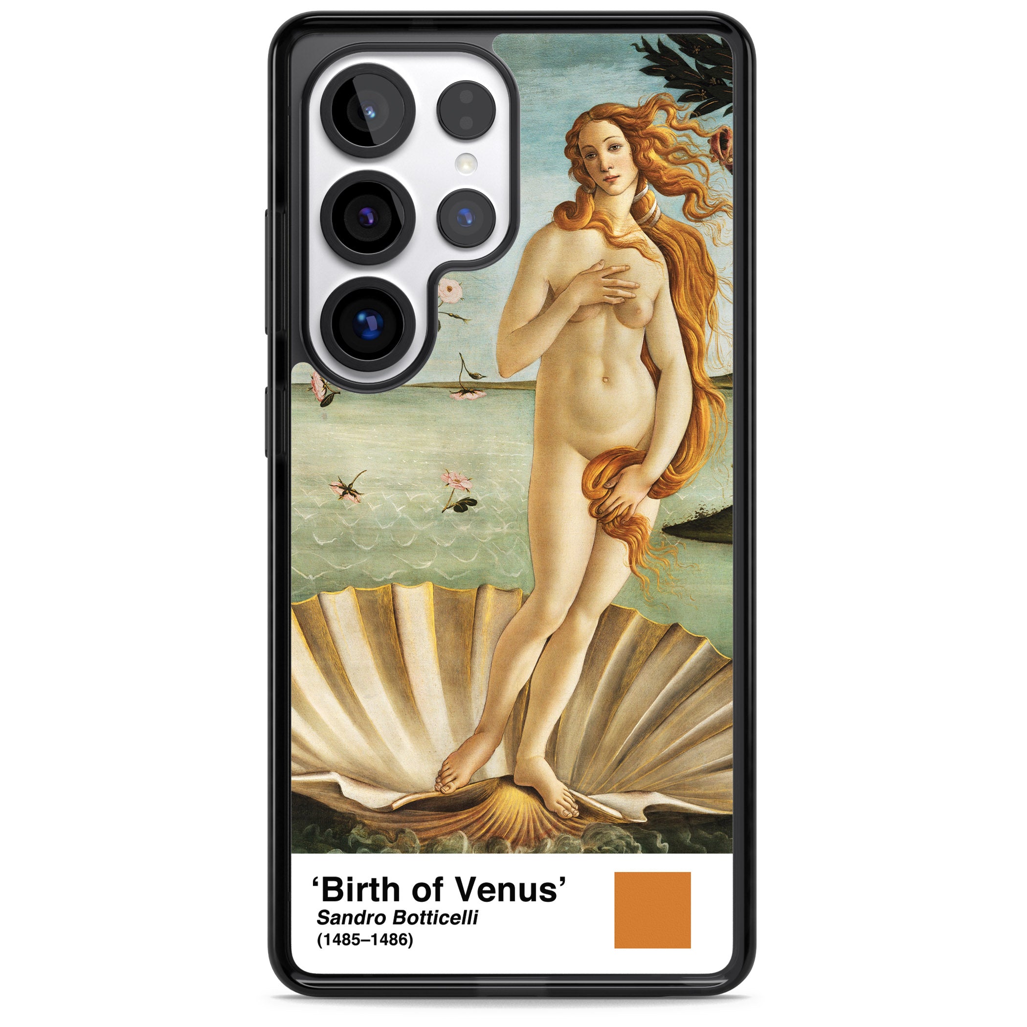 The Birth Of Venus