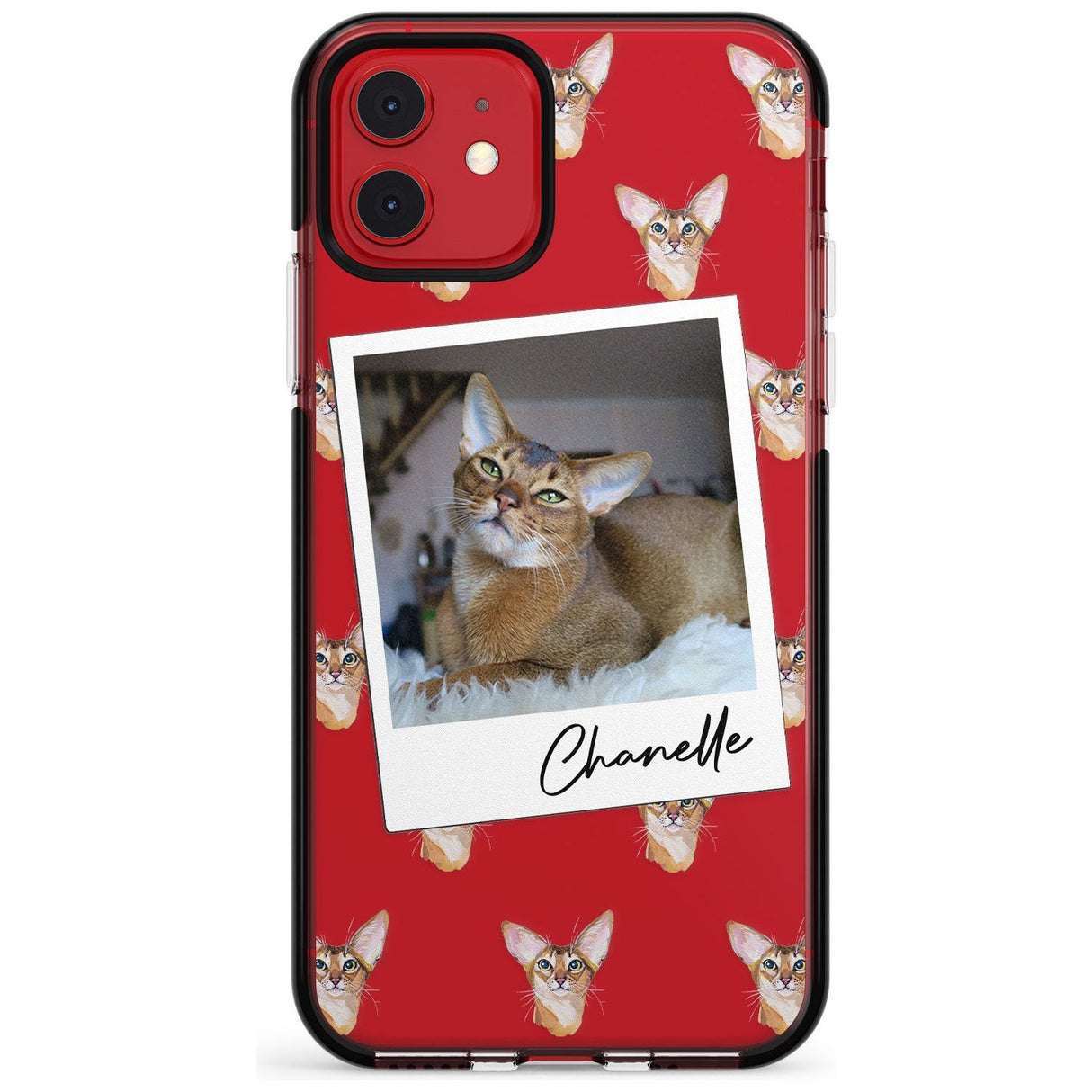 Personalised Abyssinian Cat Photo Black Impact Phone Case for iPhone 11 Pro Max