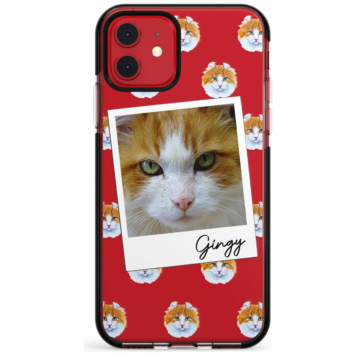 Personalised American Curl Photo Black Impact Phone Case for iPhone 11 Pro Max