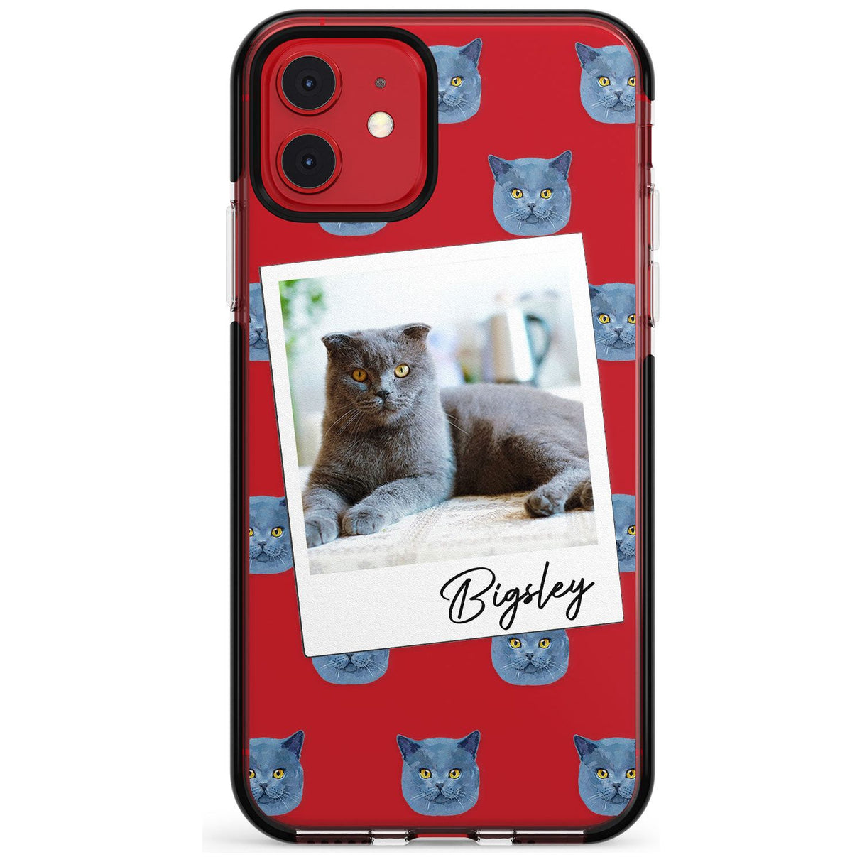 Personalised English Blue Cat Photo Black Impact Phone Case for iPhone 11 Pro Max