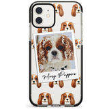 Cavalier King Charles - Custom Dog Photo Pink Fade Impact Phone Case for iPhone 11 Pro Max