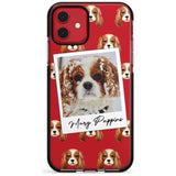 Cavalier King Charles - Custom Dog Photo Pink Fade Impact Phone Case for iPhone 11 Pro Max