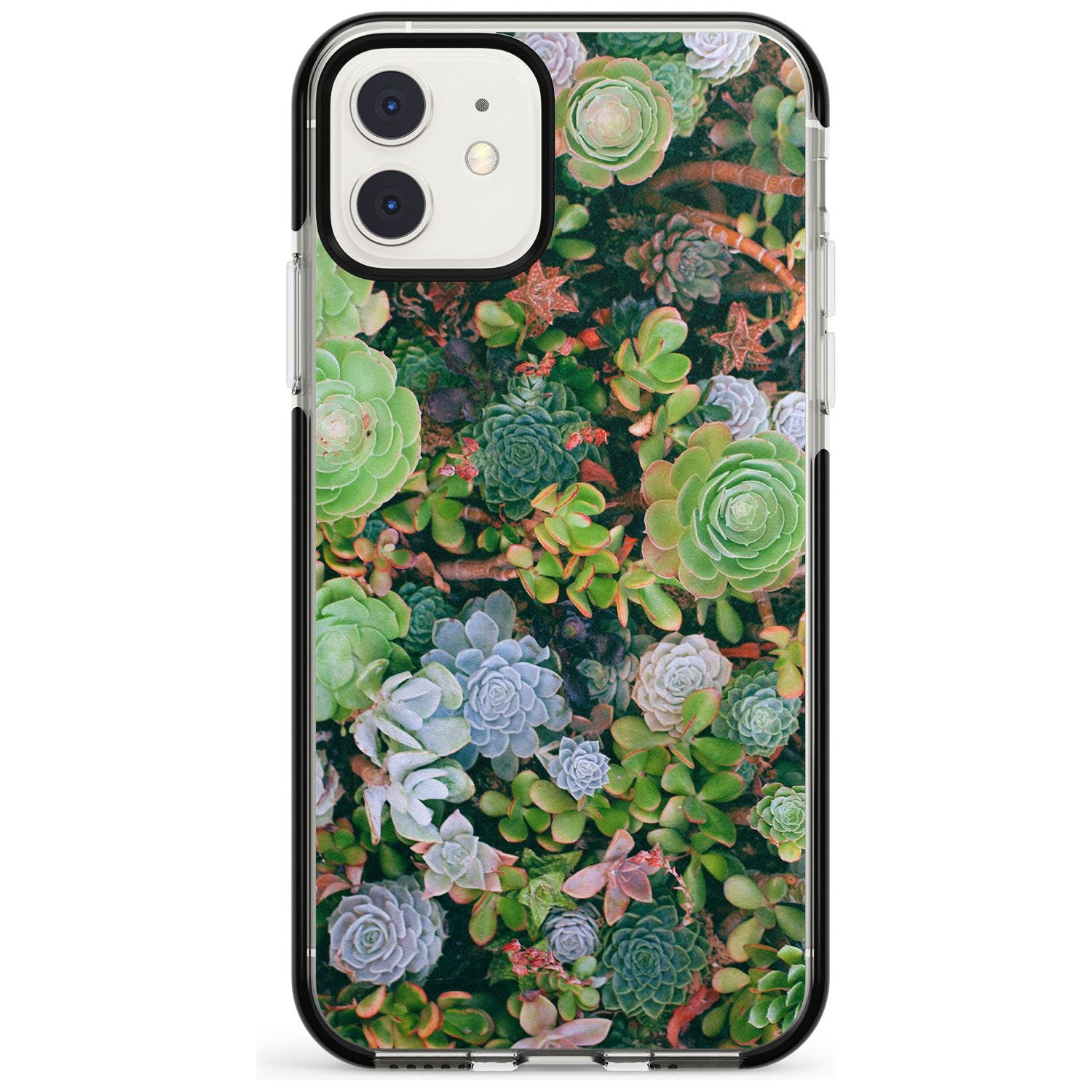 Colourful Succulents Photograph Black Impact Phone Case for iPhone 11