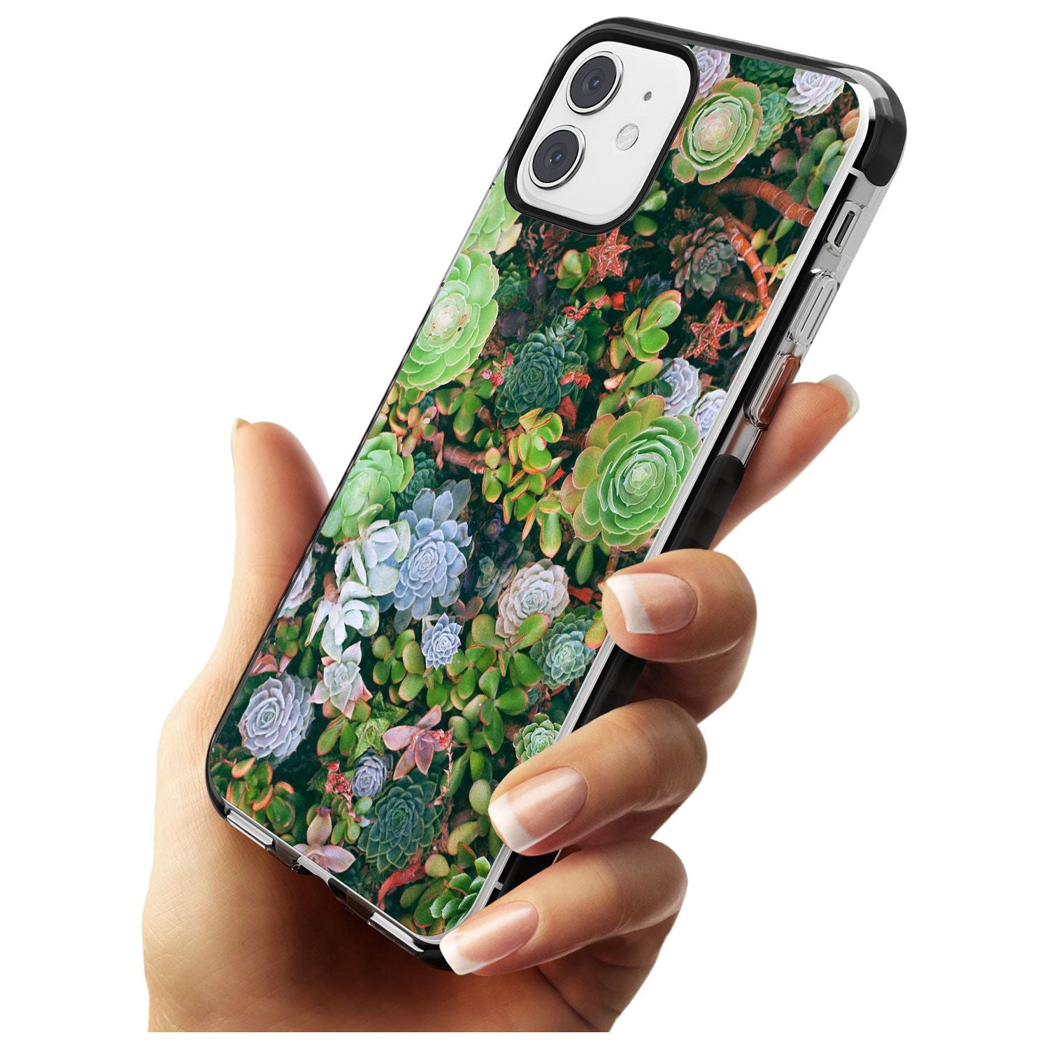 Colourful Succulents Photograph Black Impact Phone Case for iPhone 11