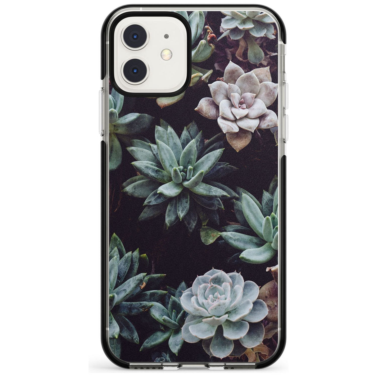 Mixed Succulents - Real Botanical Photographs Black Impact Phone Case for iPhone 11