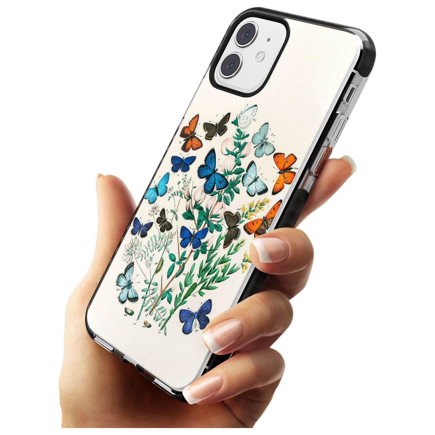 European Butterflies Black Impact Phone Case for iPhone 11 Pro Max