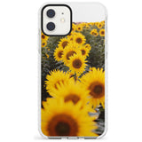 Sunflower Field Photograph Impact Phone Case for iPhone 11