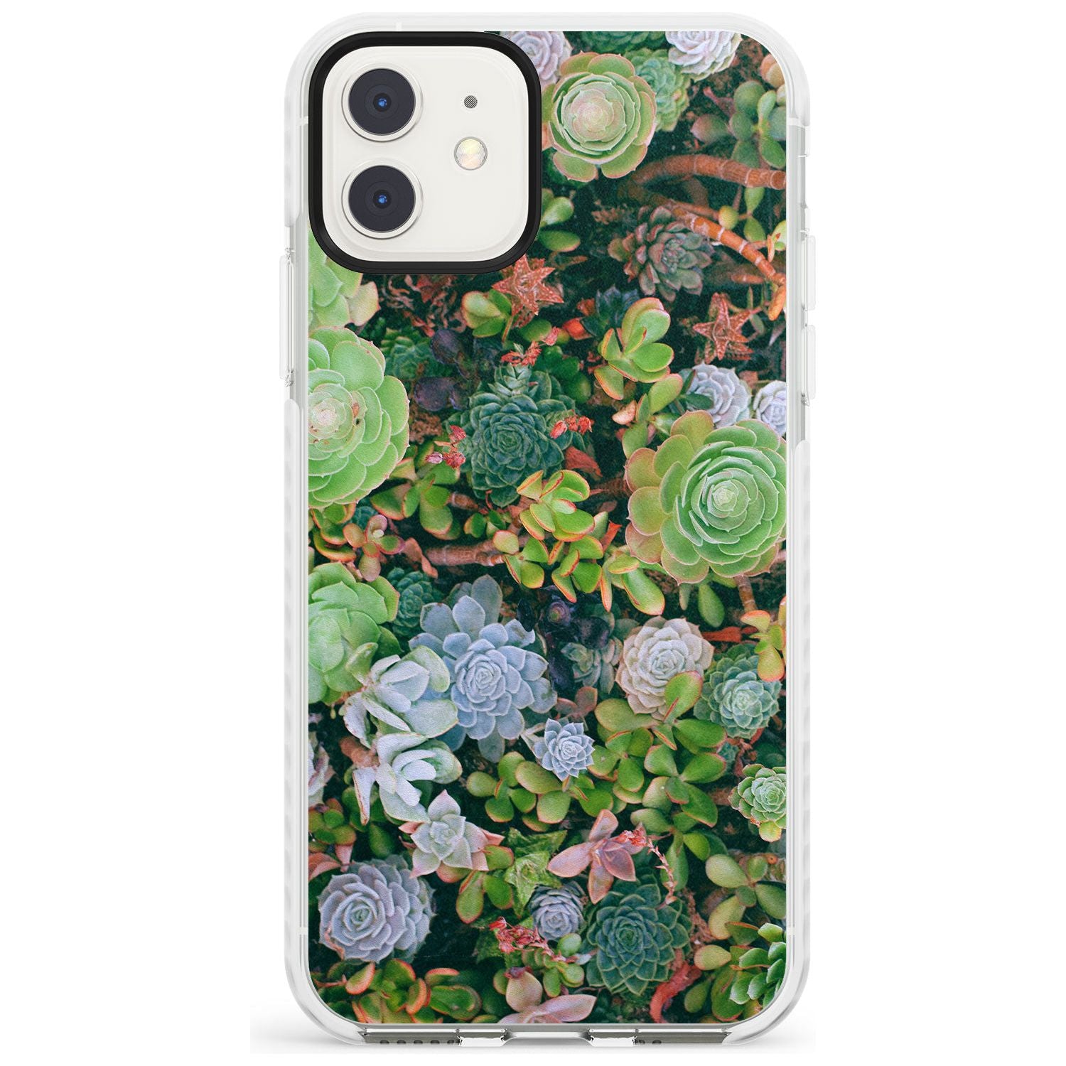 Colourful Succulents Photograph Impact Phone Case for iPhone 11