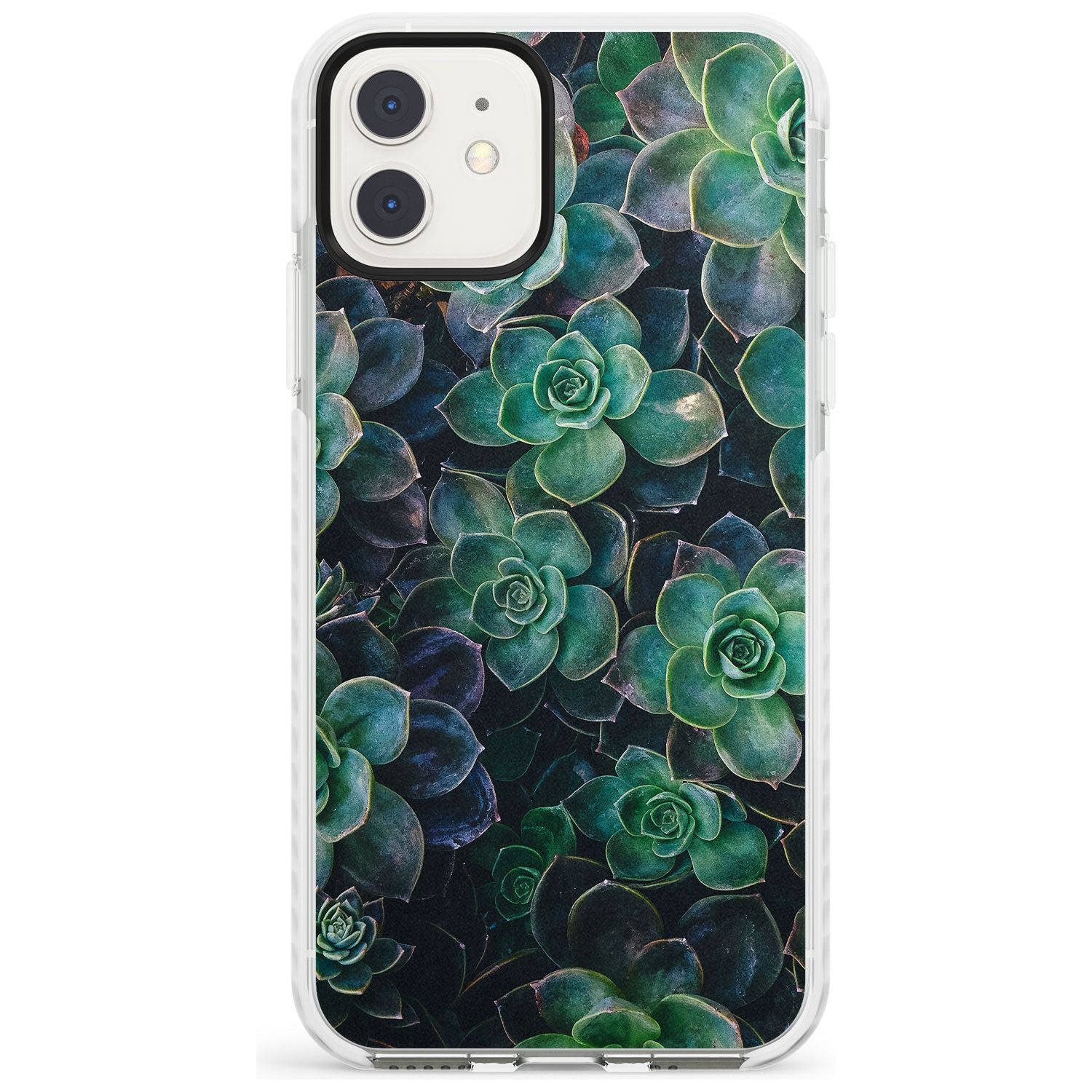 Succulents - Real Botanical Photographs Impact Phone Case for iPhone 11