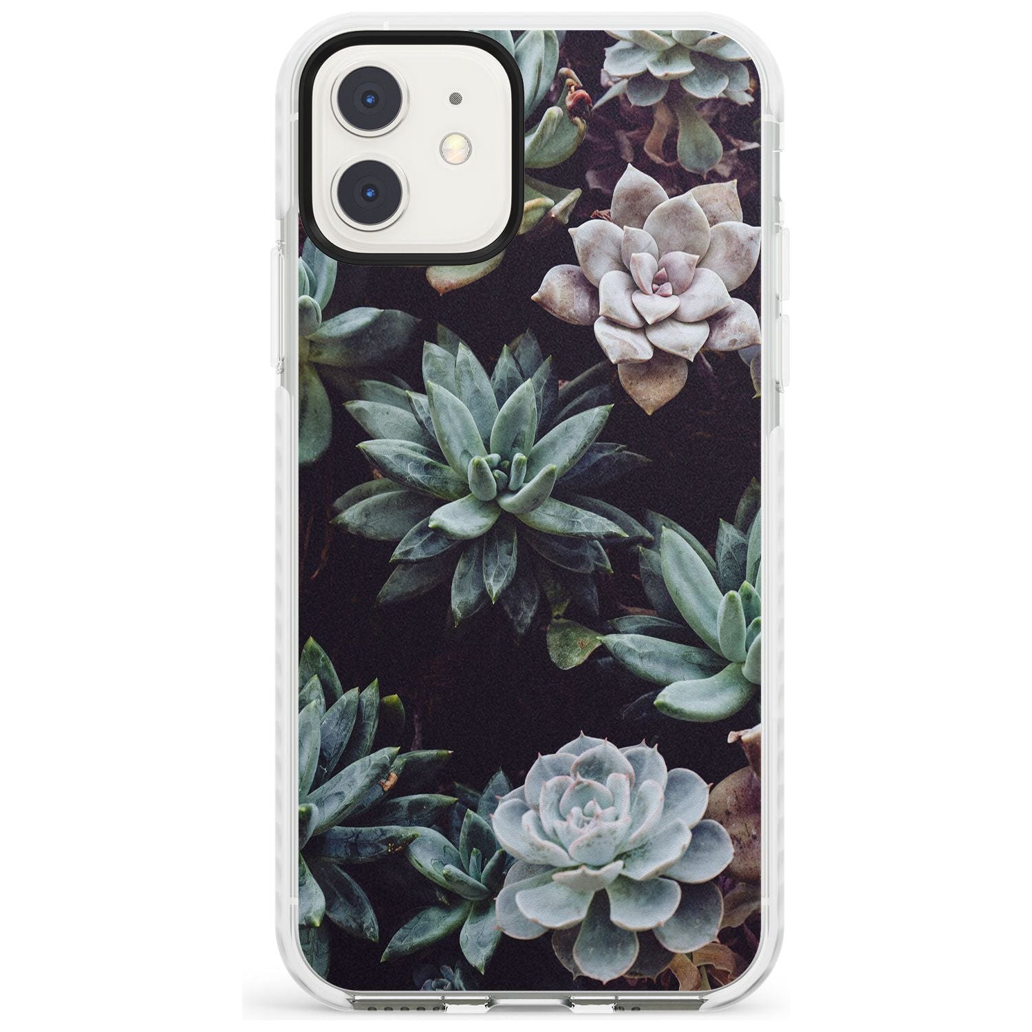 Mixed Succulents - Real Botanical Photographs Impact Phone Case for iPhone 11