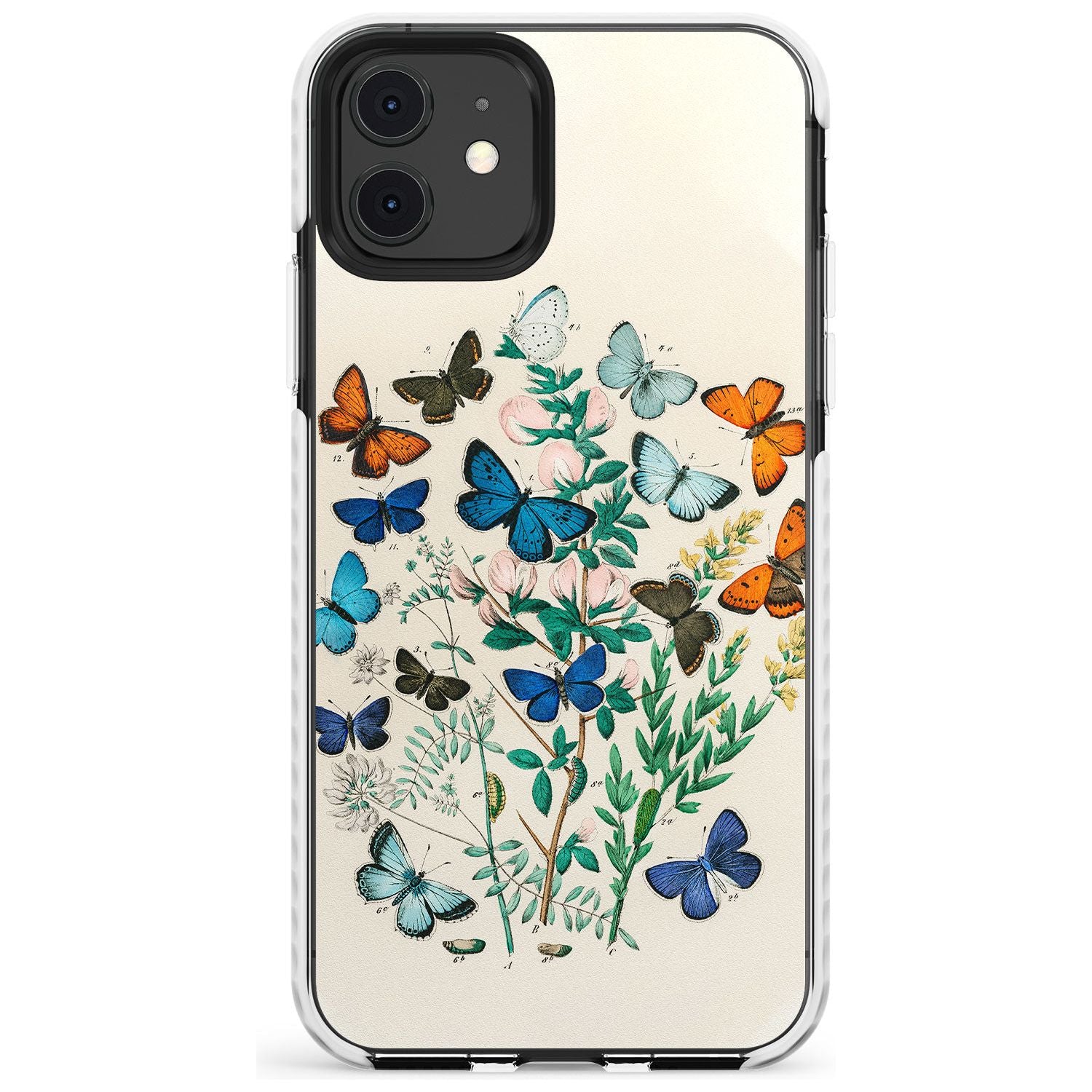 European Butterflies Impact Phone Case for iPhone 11