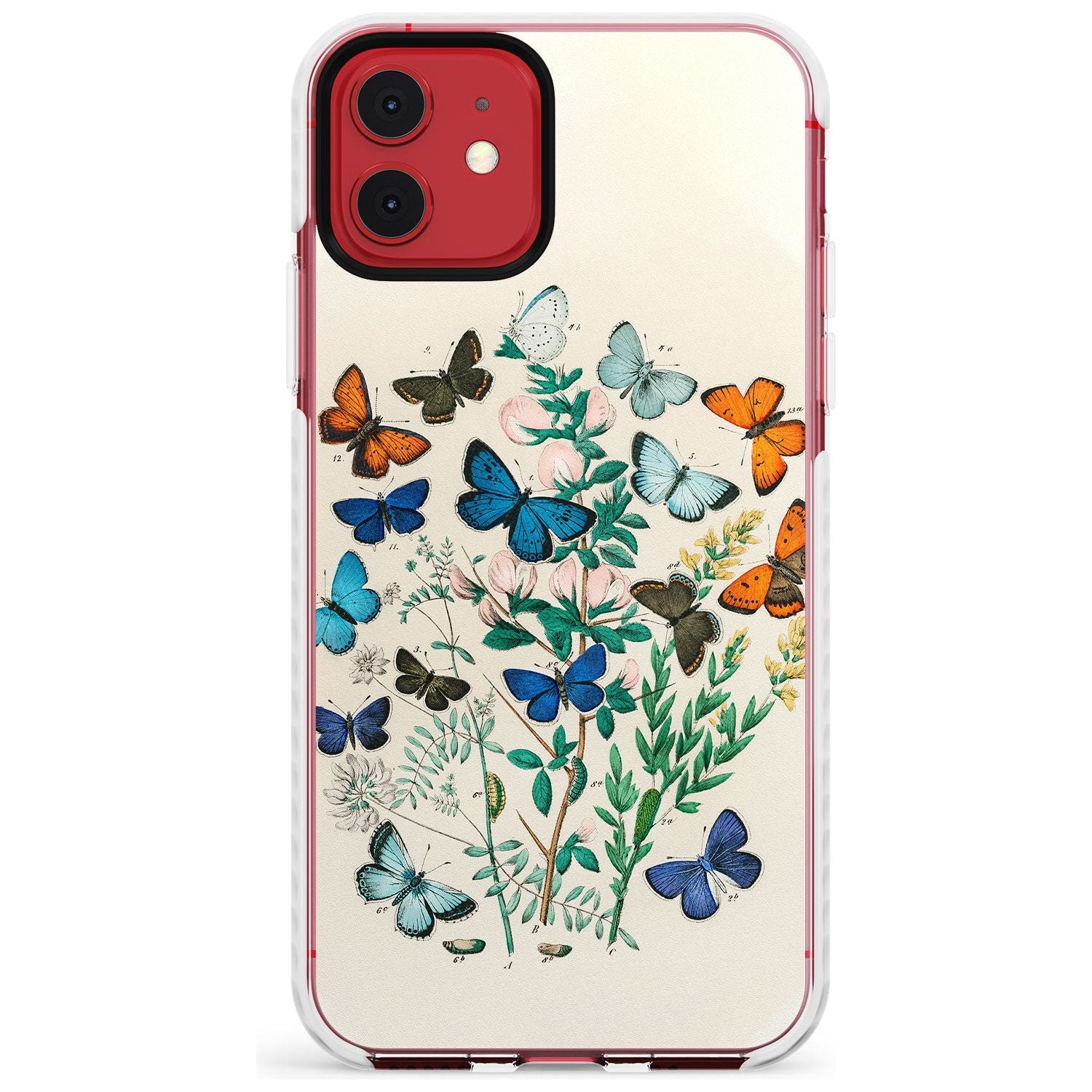 European Butterflies Impact Phone Case for iPhone 11