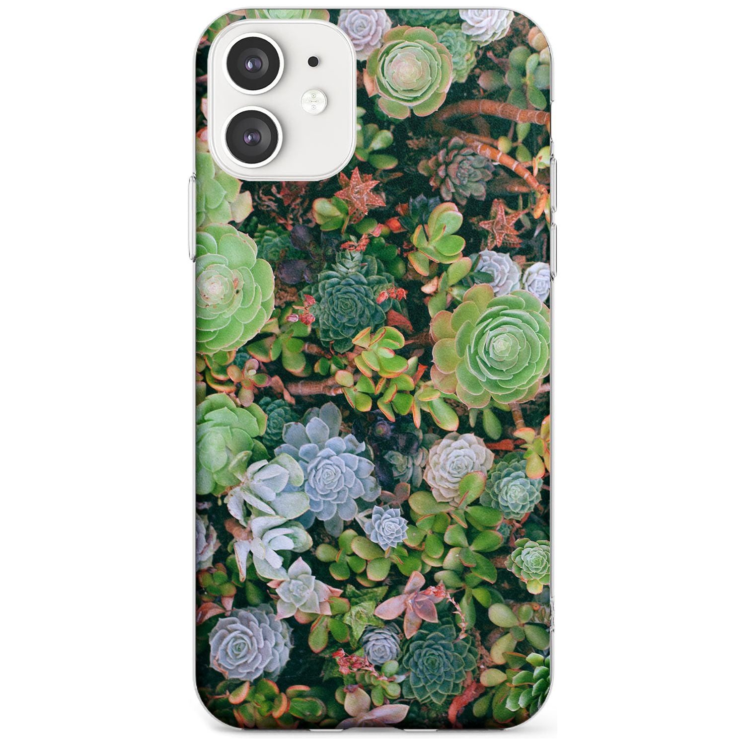 Colourful Succulents Photograph Slim TPU Phone Case for iPhone 11