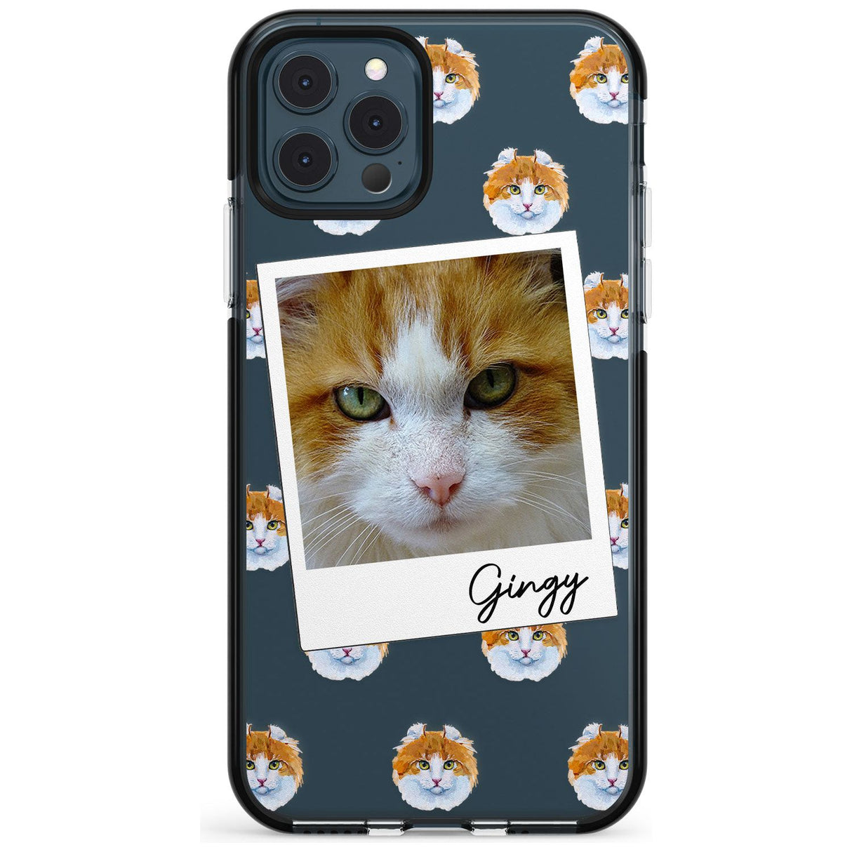 Personalised American Curl Photo Black Impact Phone Case for iPhone 11