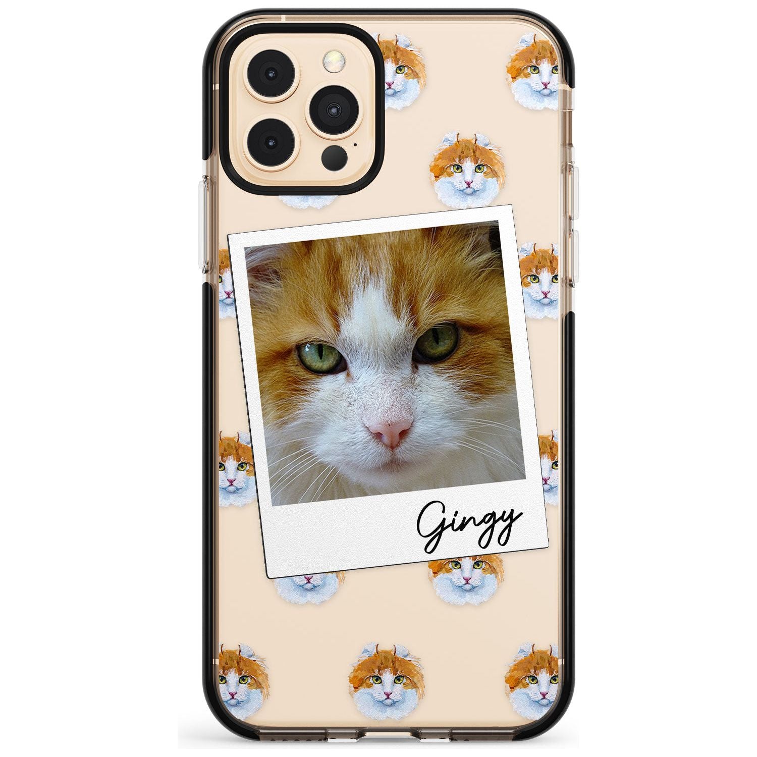 Personalised American Curl Photo Black Impact Phone Case for iPhone 11