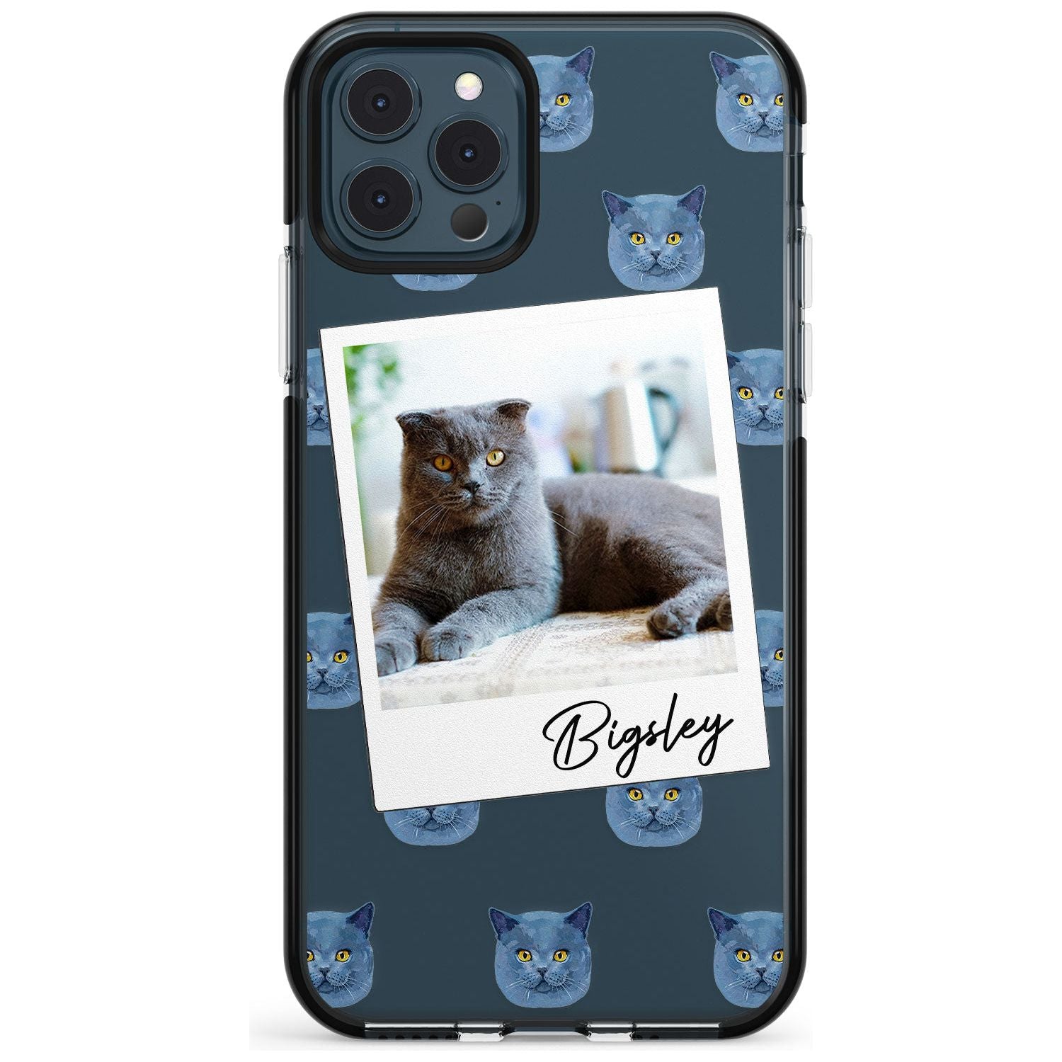 Personalised English Blue Cat Photo Black Impact Phone Case for iPhone 11