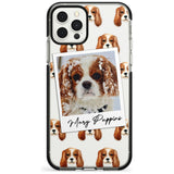 Cavalier King Charles - Custom Dog Photo Pink Fade Impact Phone Case for iPhone 11