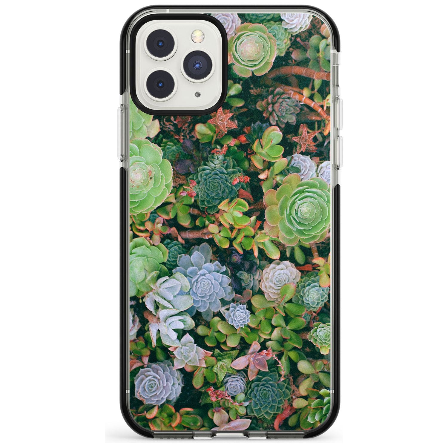 Colourful Succulents Photograph Black Impact Phone Case for iPhone 11 Pro Max
