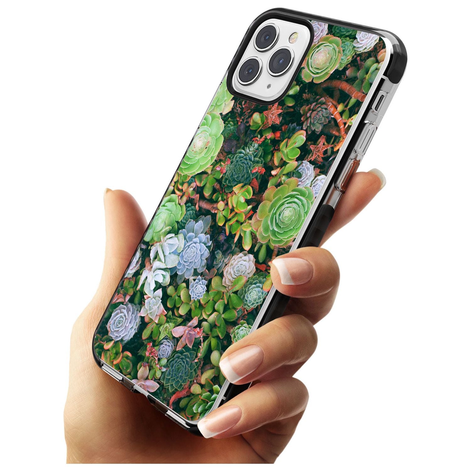 Colourful Succulents Photograph Black Impact Phone Case for iPhone 11 Pro Max