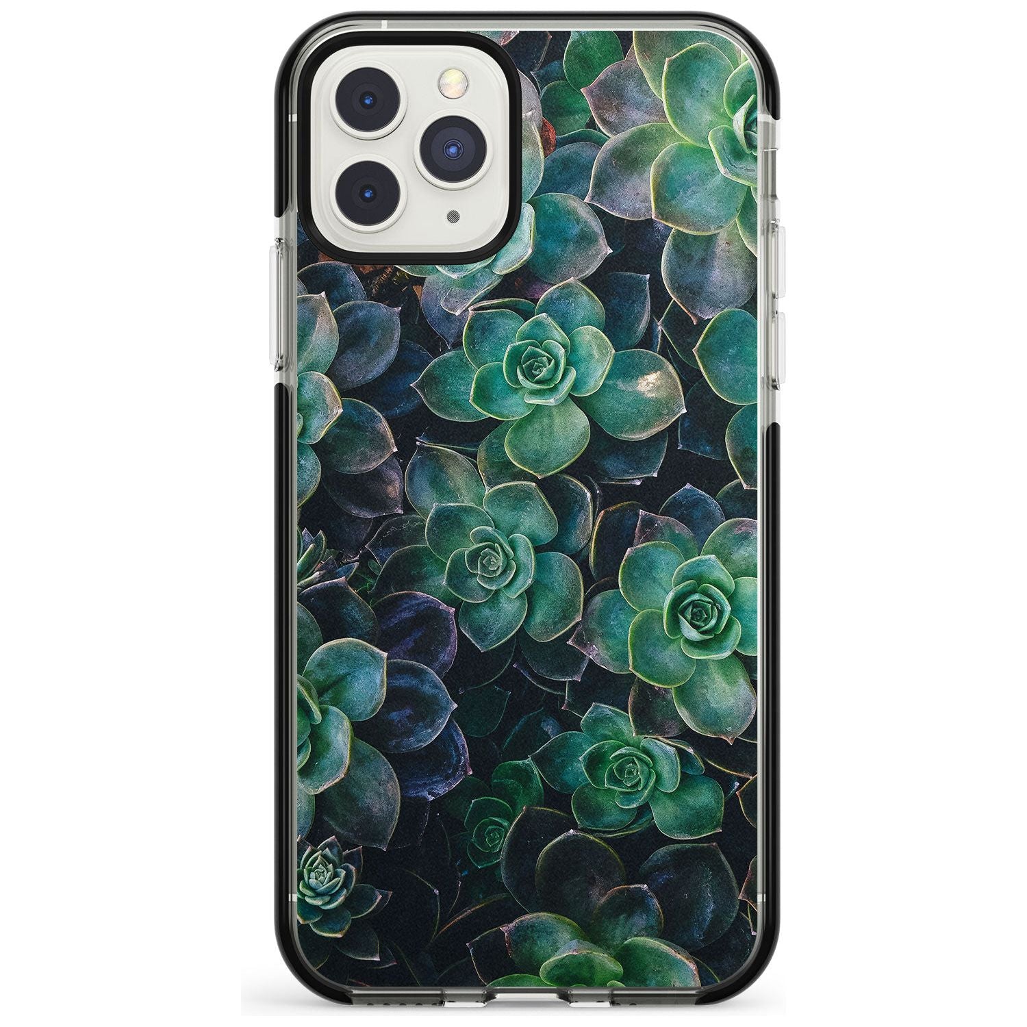 Succulents - Real Botanical Photographs Black Impact Phone Case for iPhone 11 Pro Max