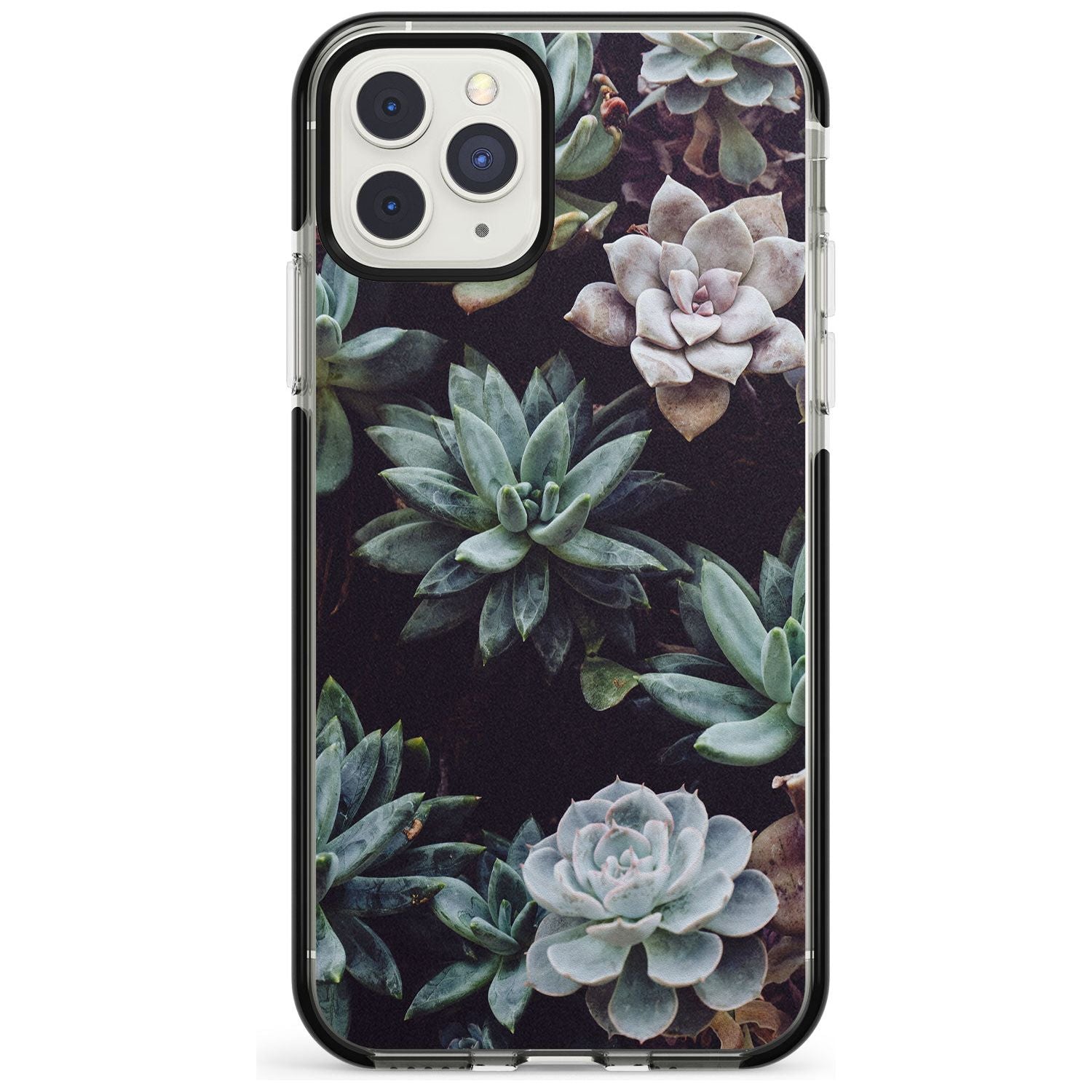 Mixed Succulents - Real Botanical Photographs Black Impact Phone Case for iPhone 11 Pro Max