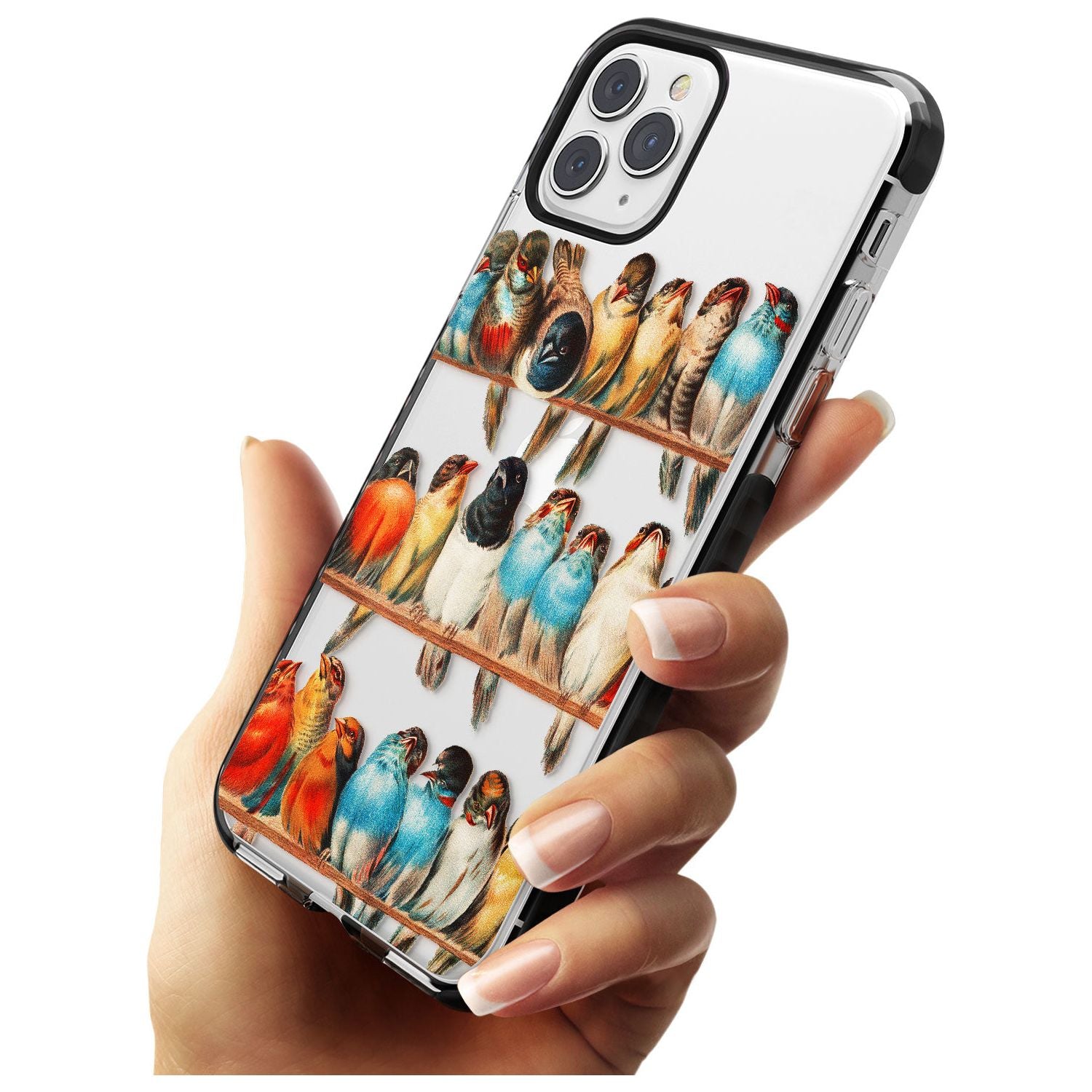 A Perch of Birds Black Impact Phone Case for iPhone 11