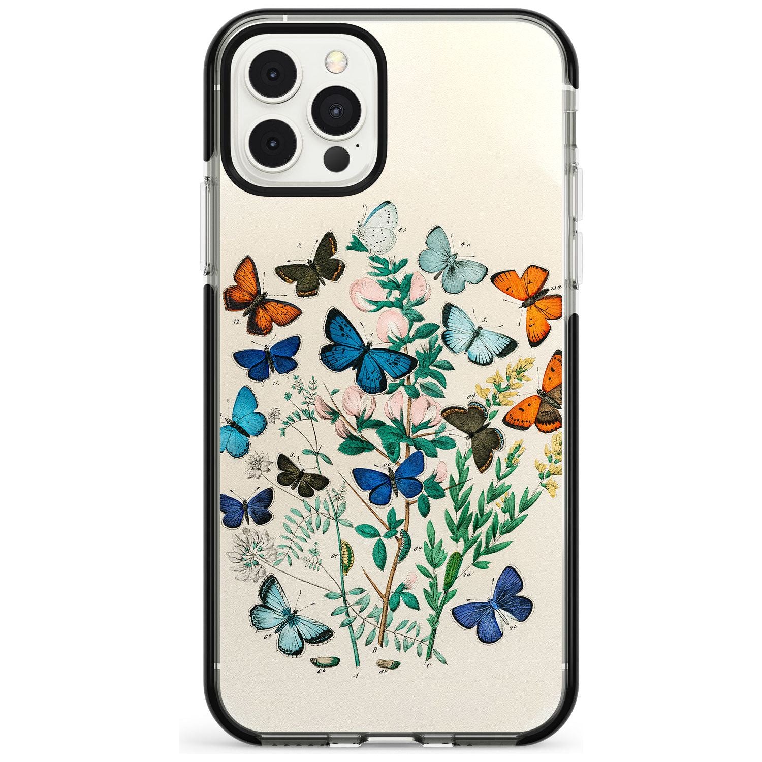 European Butterflies Black Impact Phone Case for iPhone 11