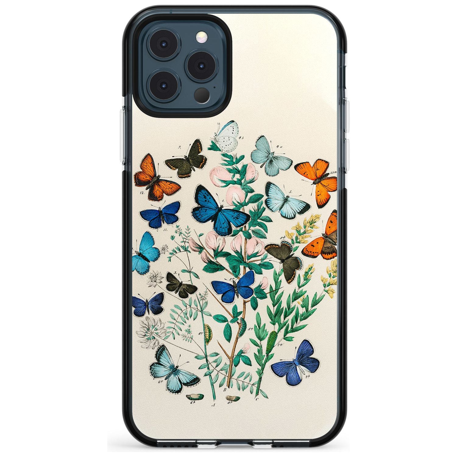 European Butterflies Black Impact Phone Case for iPhone 11