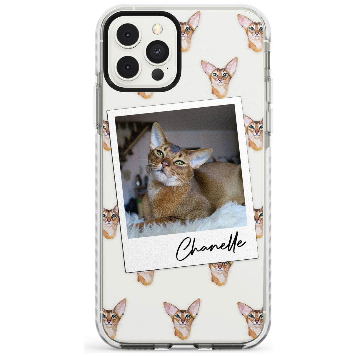 Personalised Abyssinian Cat Photo Impact Phone Case for iPhone 11 Pro Max