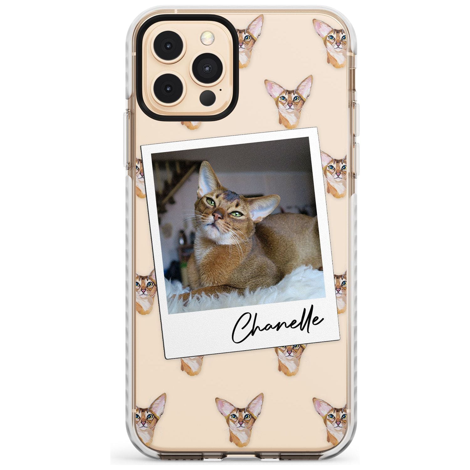 Personalised Abyssinian Cat Photo Impact Phone Case for iPhone 11 Pro Max