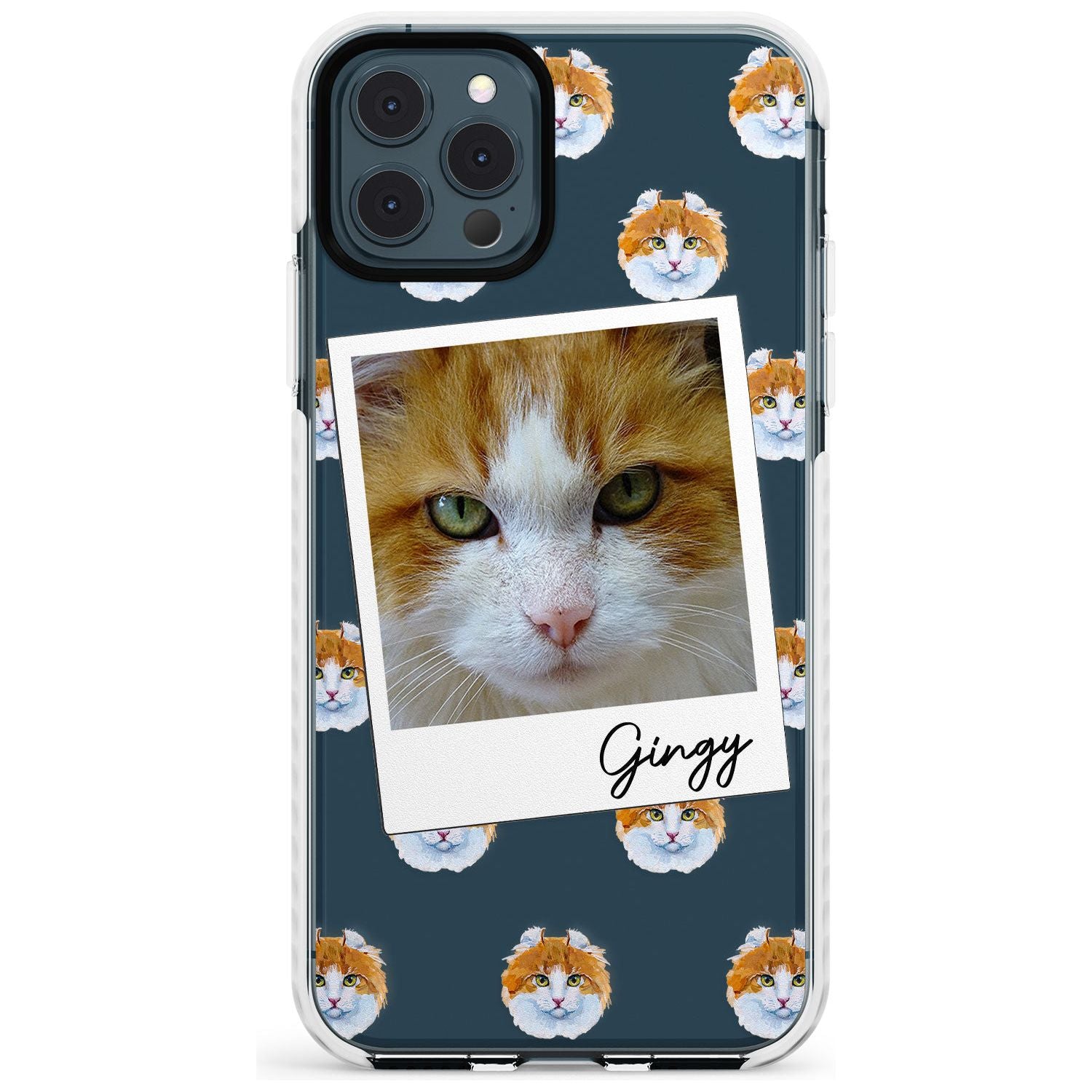 Personalised American Curl Photo Impact Phone Case for iPhone 11 Pro Max