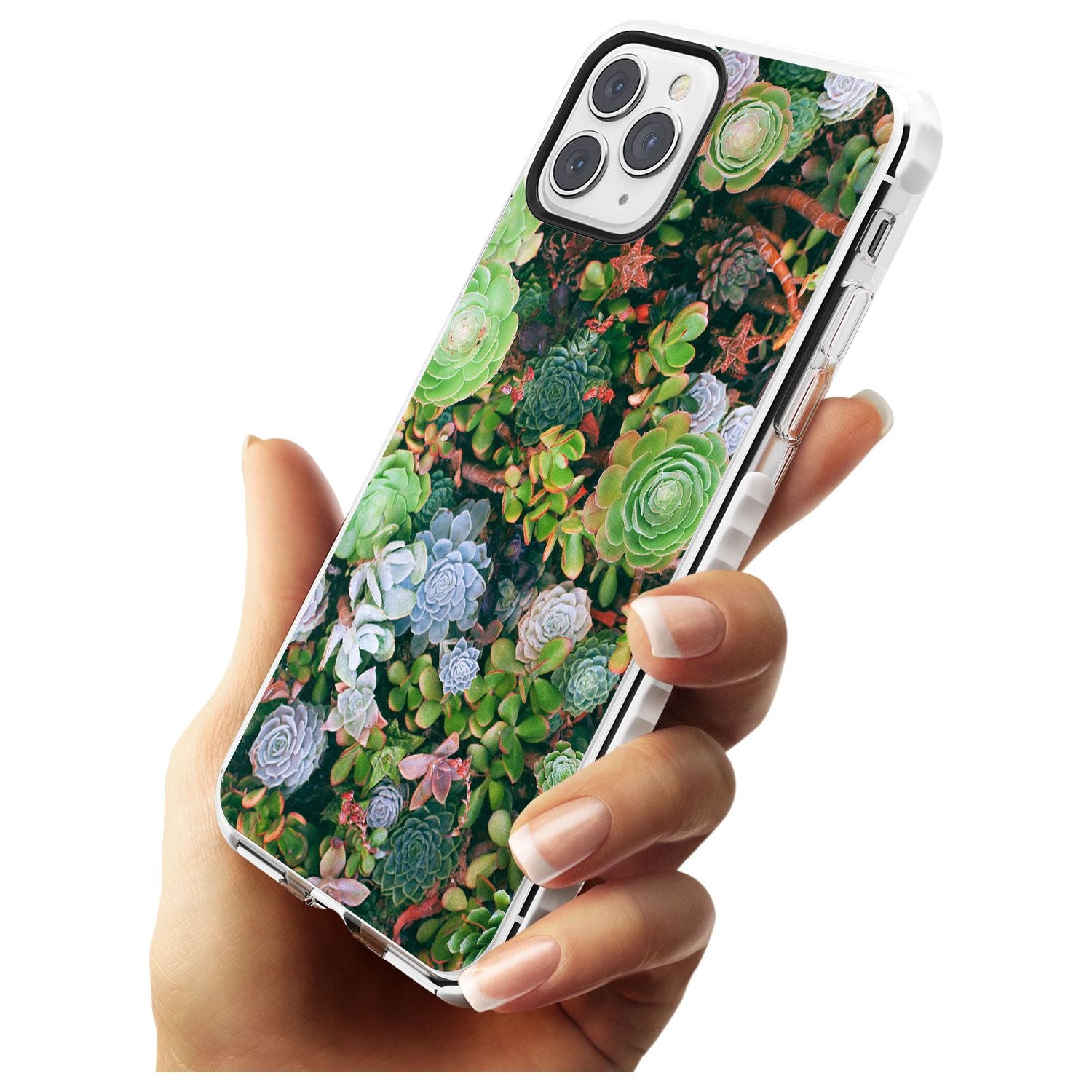 Colourful Succulents Photograph Impact Phone Case for iPhone 11 Pro Max