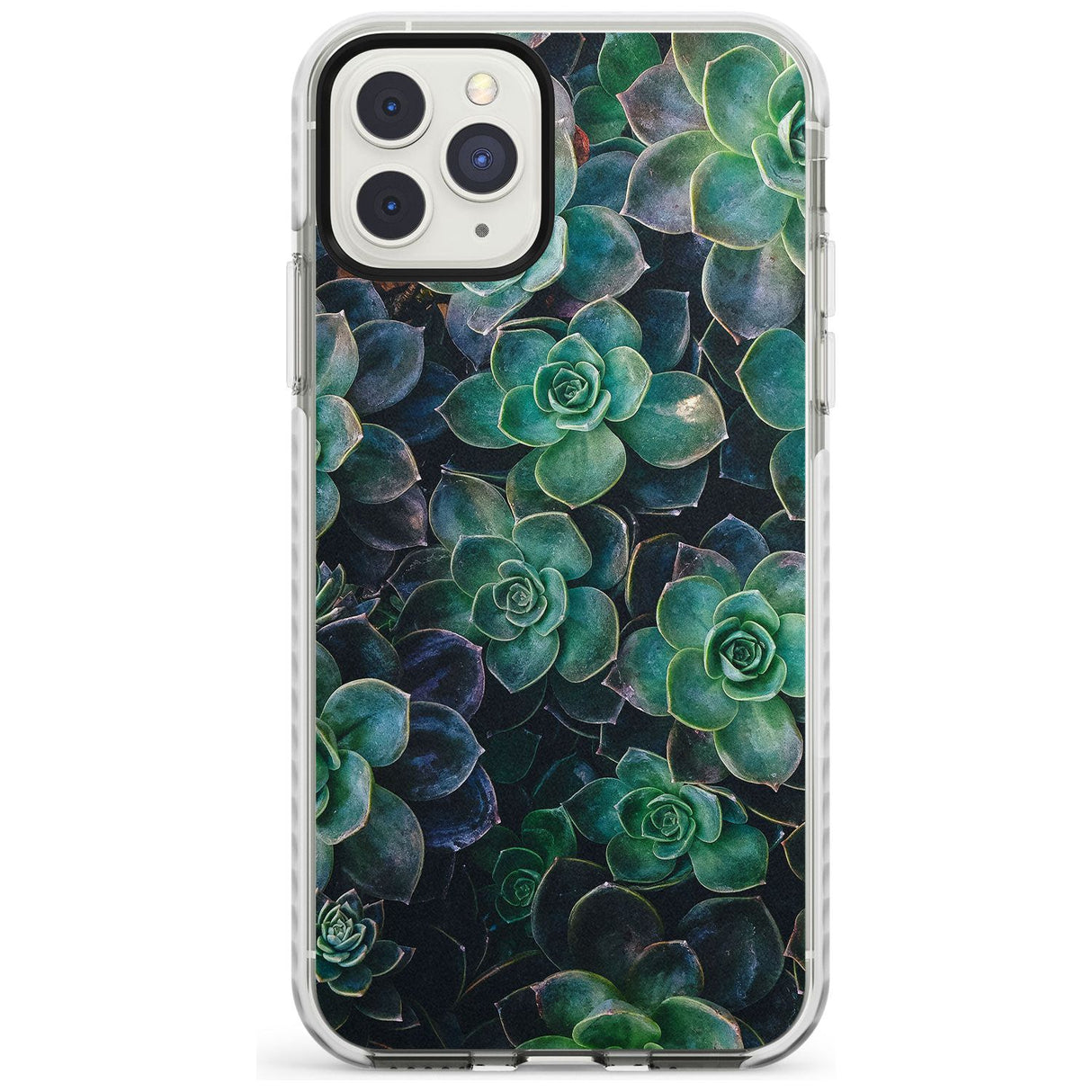 Succulents - Real Botanical Photographs Impact Phone Case for iPhone 11 Pro Max