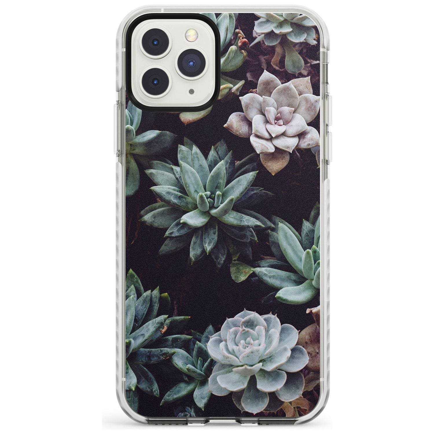 Mixed Succulents - Real Botanical Photographs Impact Phone Case for iPhone 11 Pro Max