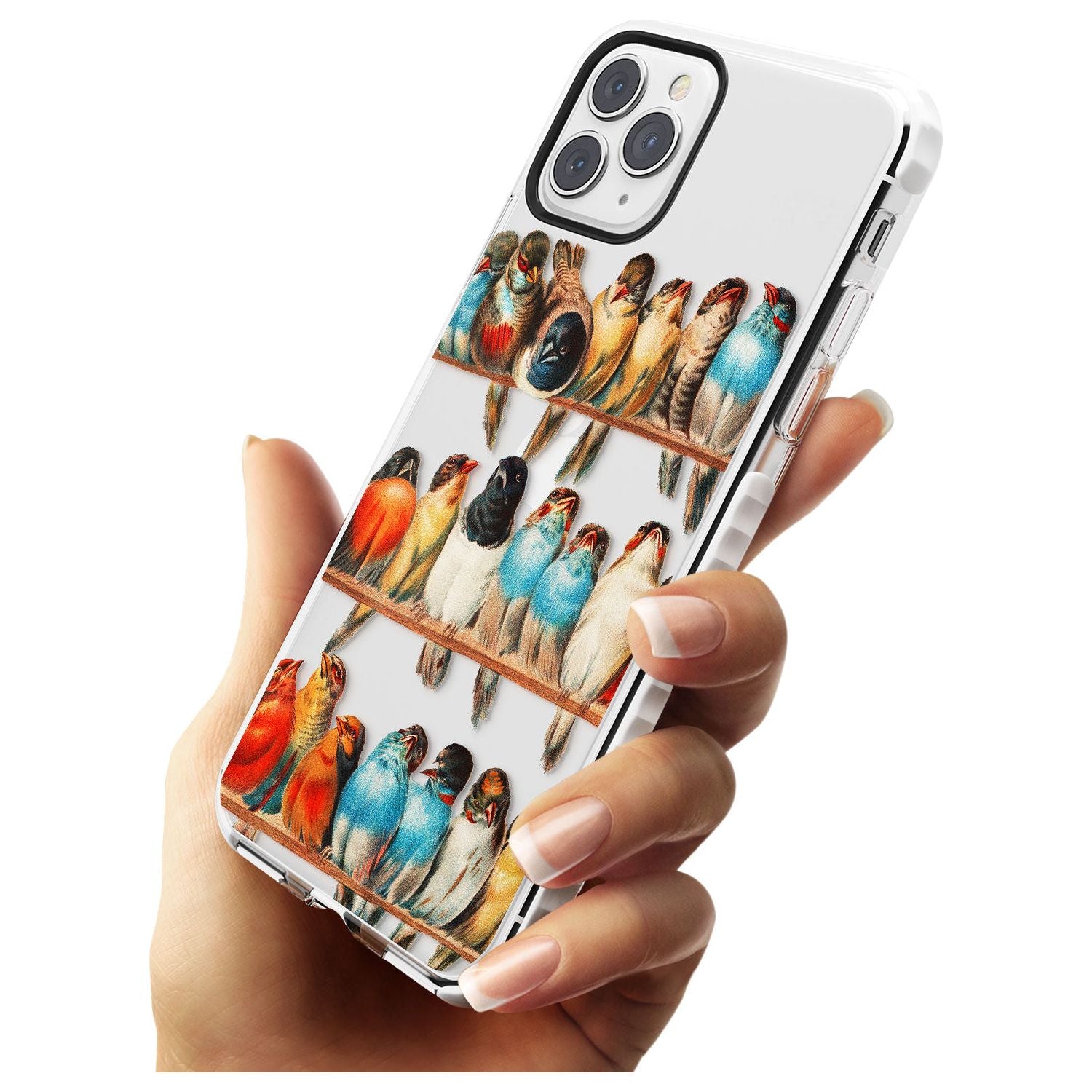 A Perch of Birds Impact Phone Case for iPhone 11 Pro Max