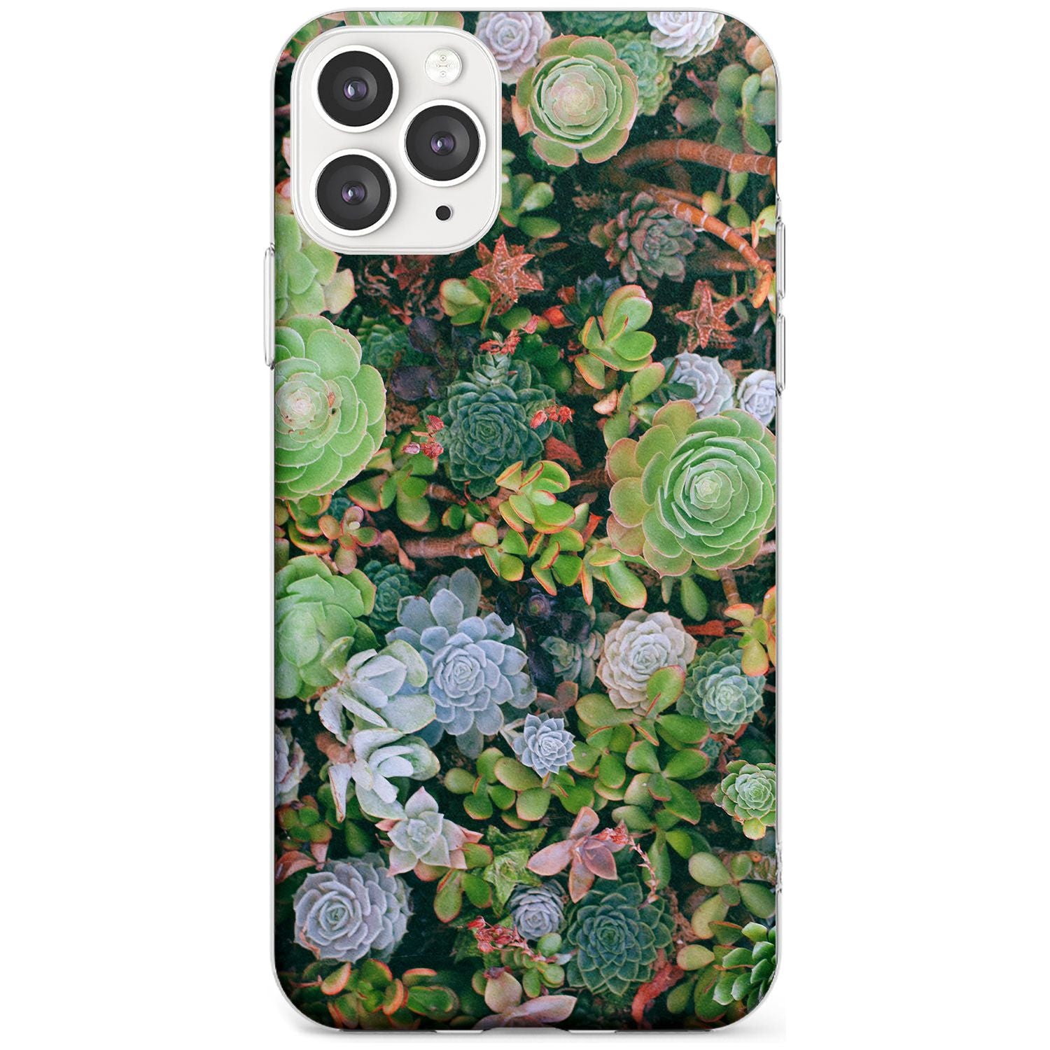 Colourful Succulents Photograph Slim TPU Phone Case for iPhone 11 Pro Max