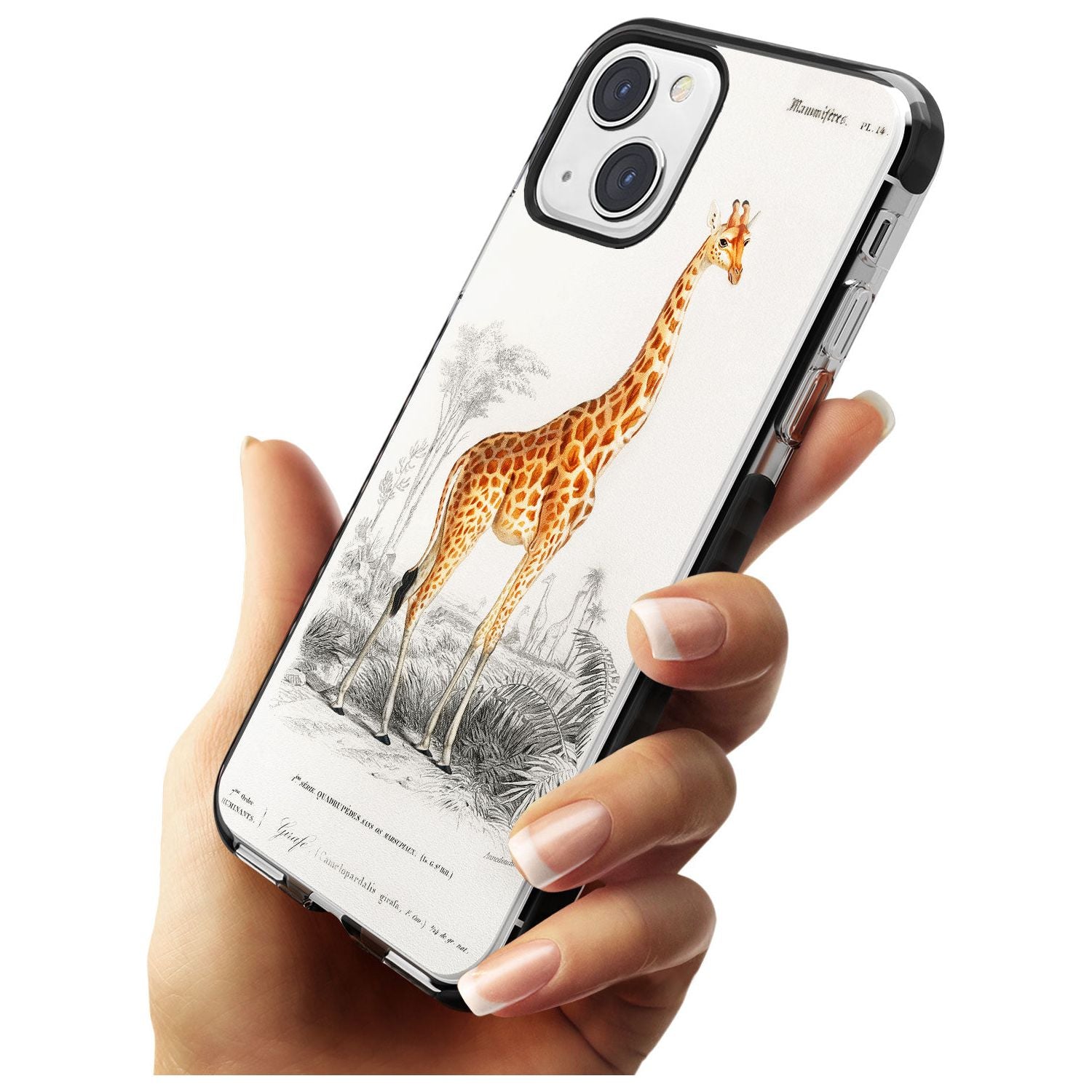 Vintage Girafe Art Black Impact Phone Case for iPhone 13 & 13 Mini