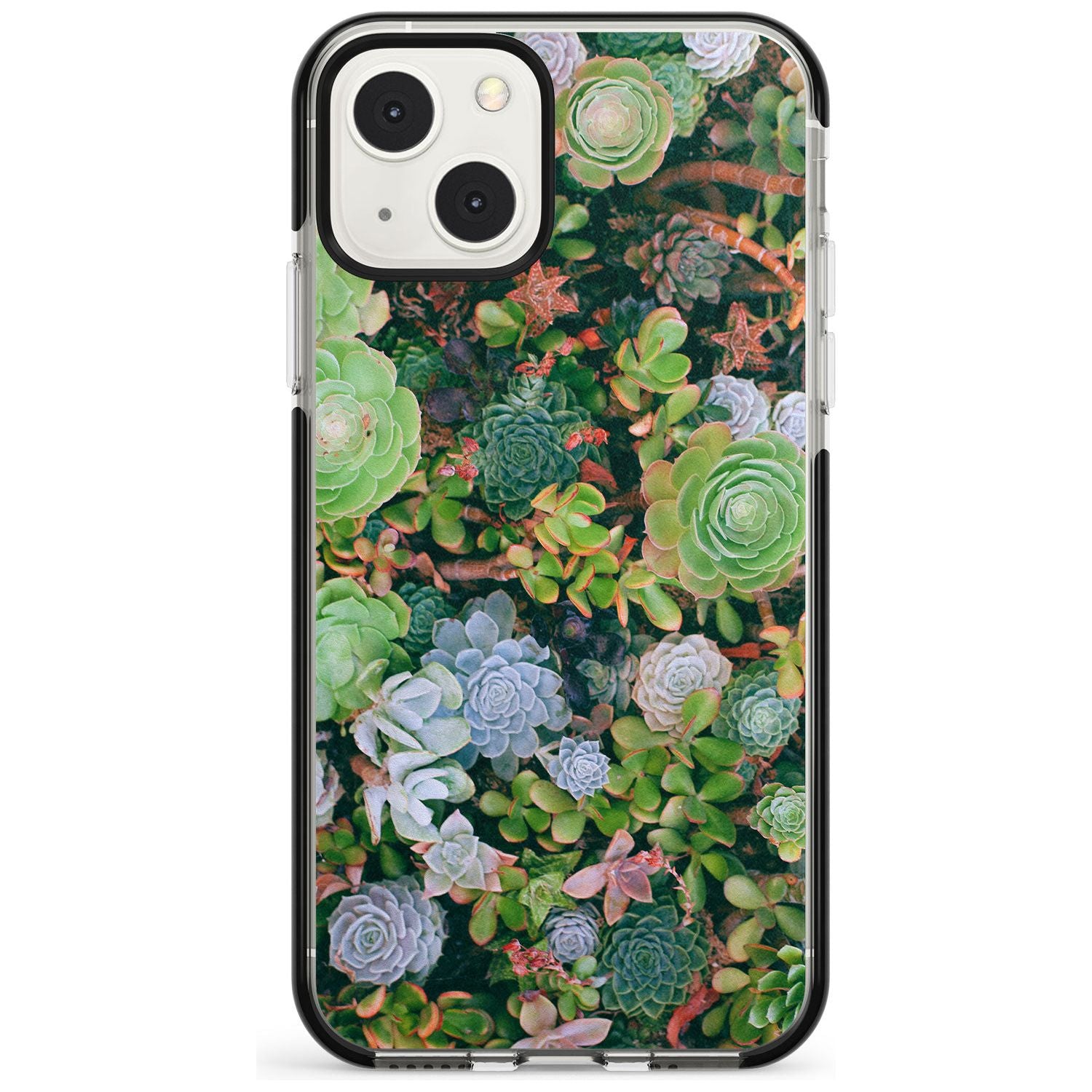 Colourful Succulents Phone Case iPhone 13 Mini / Black Impact Case Blanc Space