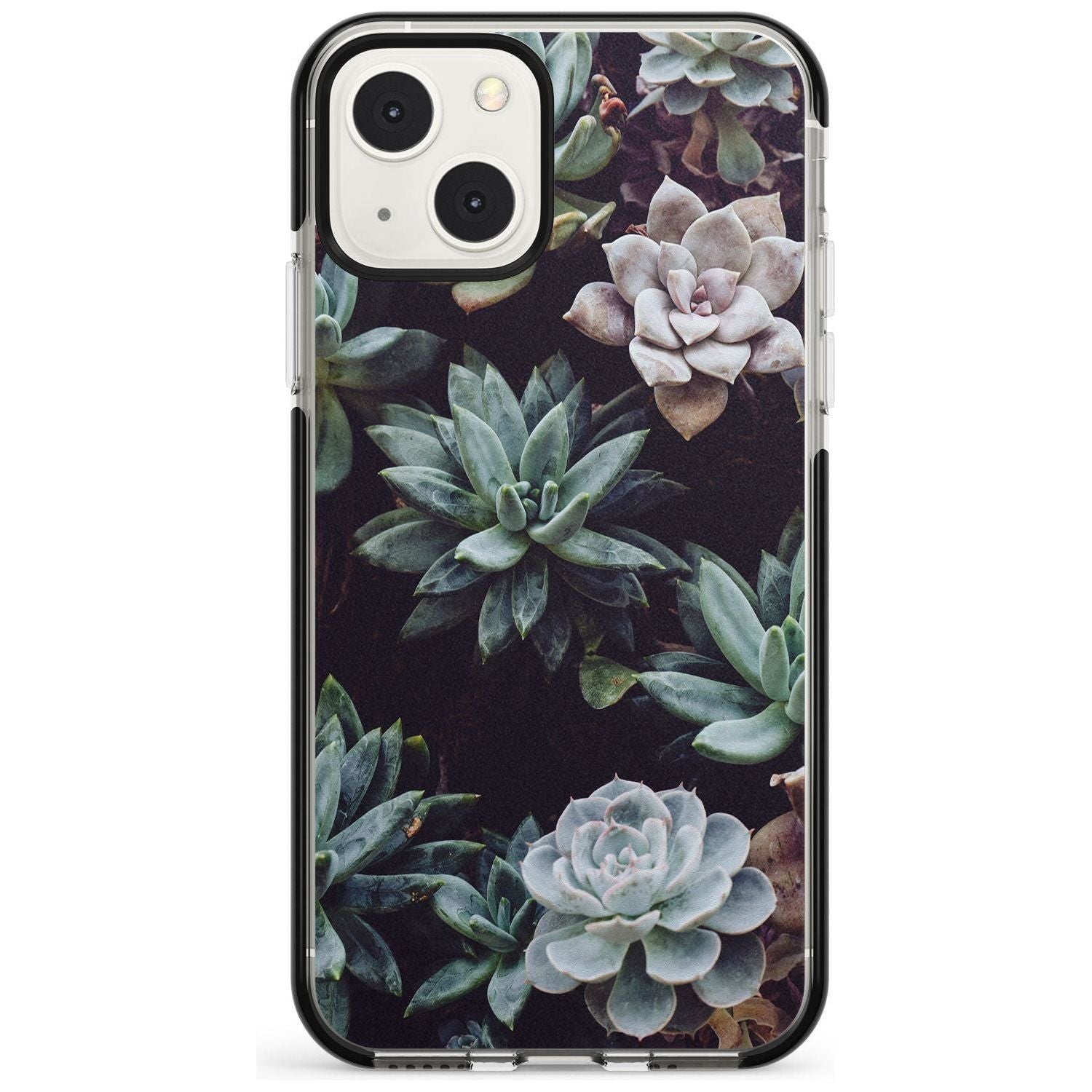 Mixed Succulents - Real Botanical Photographs Phone Case iPhone 13 Mini / Black Impact Case Blanc Space